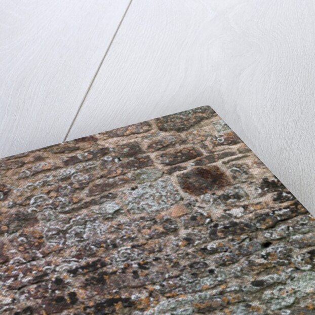 Old brick wall by Assaf Frank